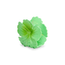 Stor grøn hårklemme formet som en blomst - Hawaii Flower Big fra SUI AVA